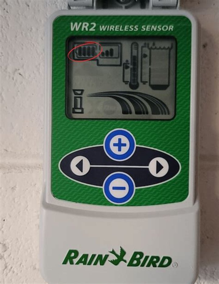 How does the Rain Bird Rain Sensor work?
