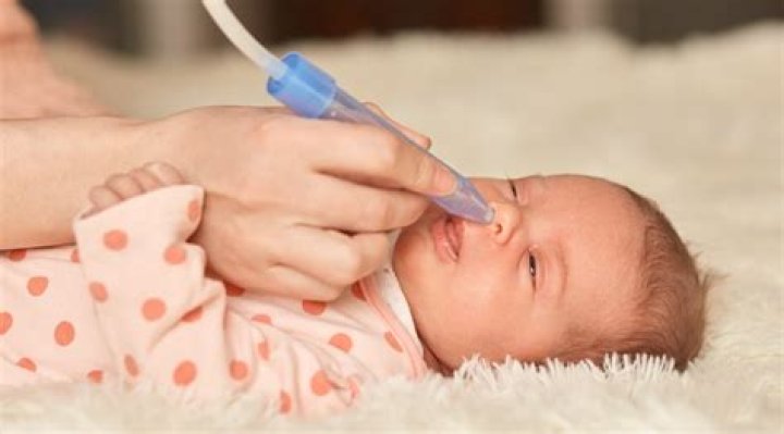 How long are infants obligate nasal breathers?
