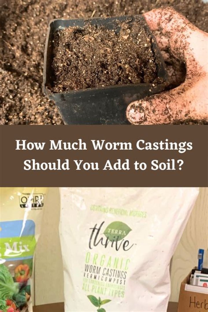 How long can you store worm castings?