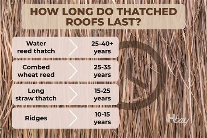 How long does a thatched roof last?