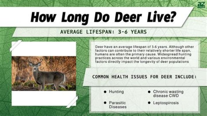 How long does deer meat last in a deep freezer?