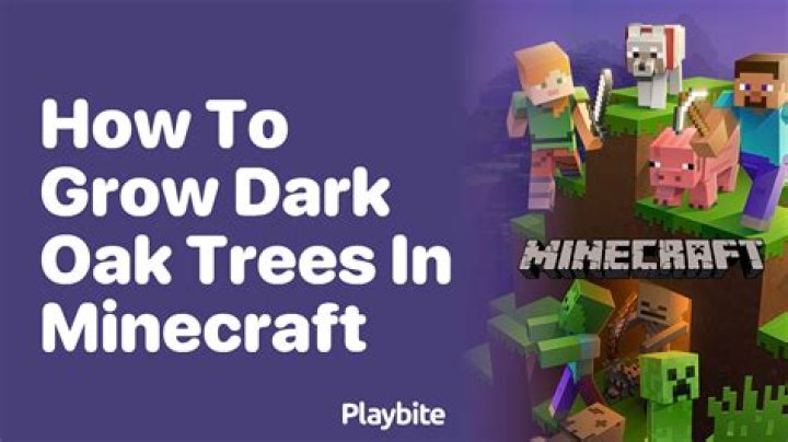 How long does it take for a dark oak tree to grow in Minecraft?