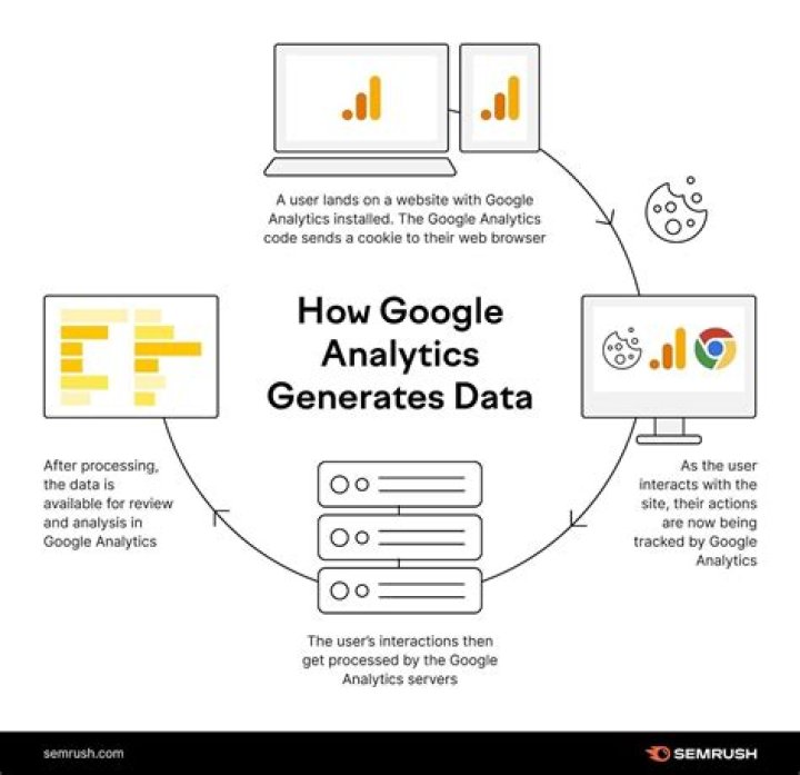 How long does it take Google Analytics to show data?