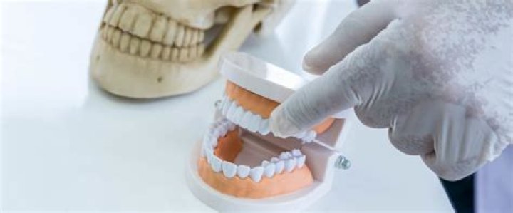 How long does it take to be a forensic odontologist?