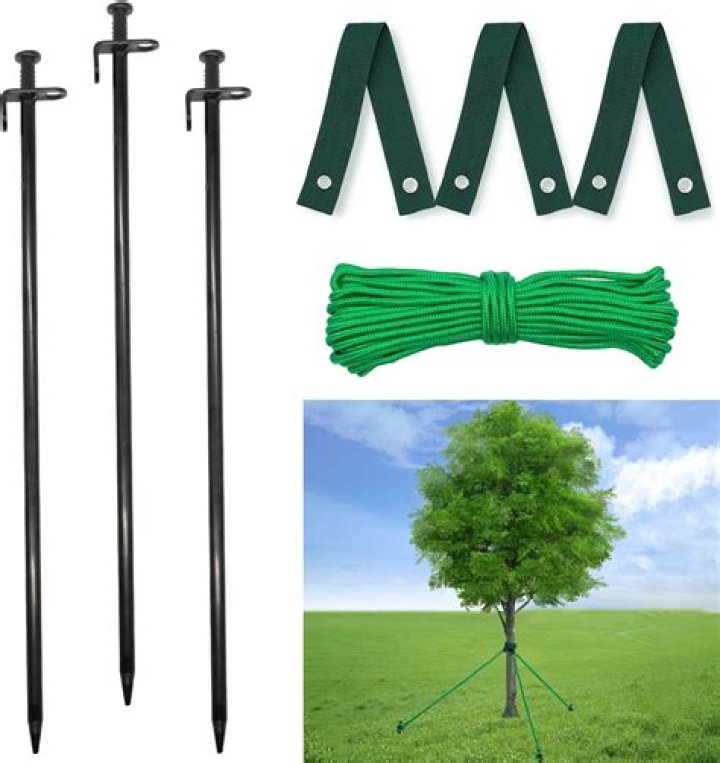 How long should you leave Tree stakes in?