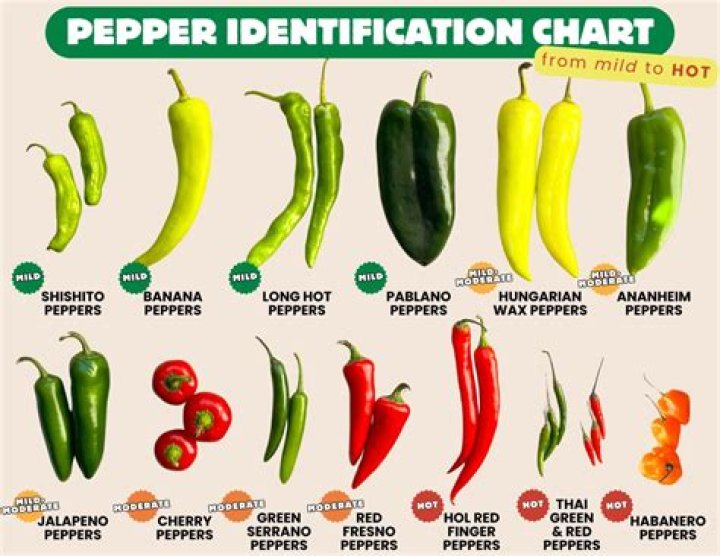 How long will dried peppers last?