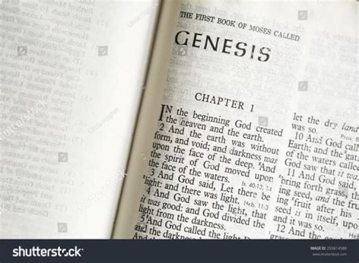How many chapters are in the book of Genesis in the Bible?