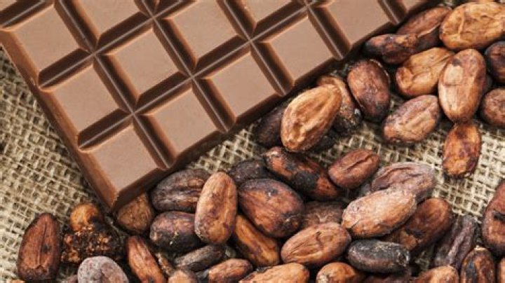 How many cocoa beans does it take to make a chocolate bar?