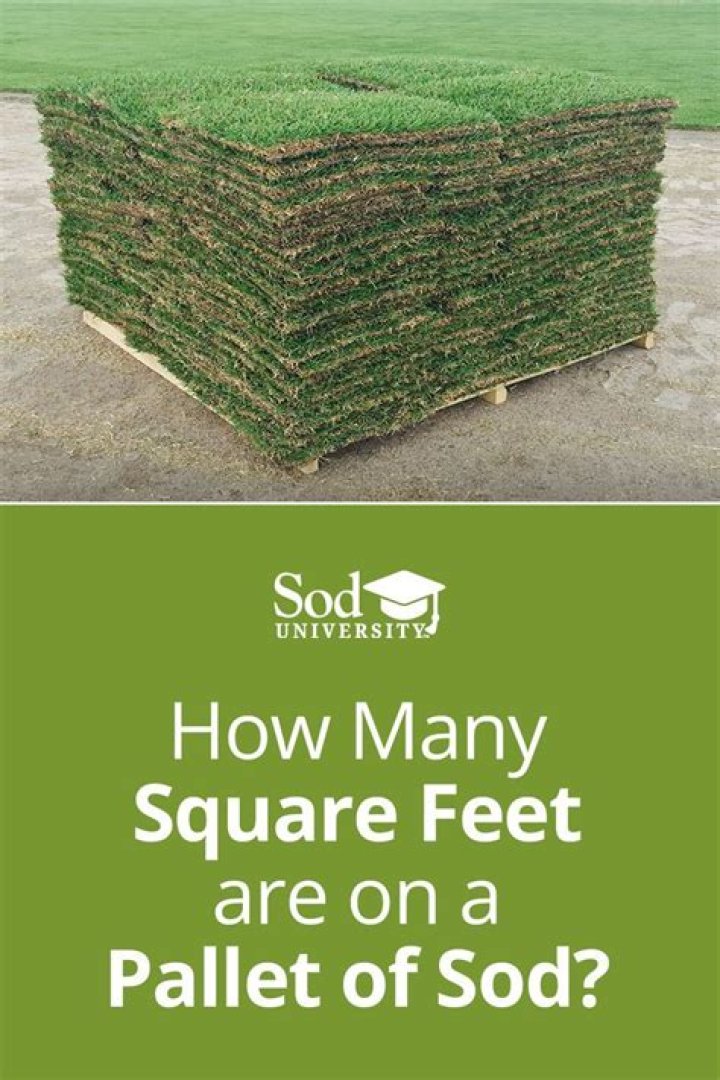 How many square feet is a pallet?
