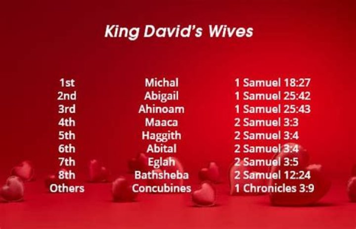 How many wives did King David have?