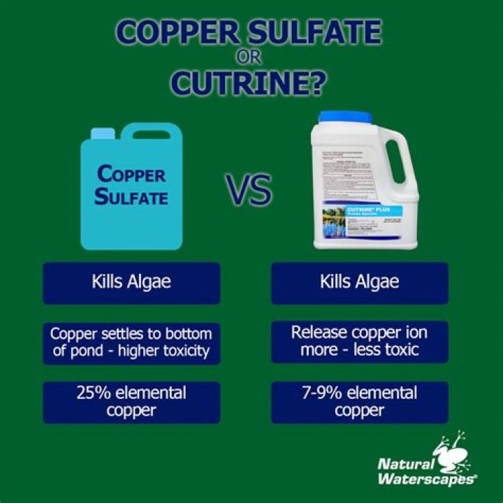 How much copper sulfate do you put in a pond?
