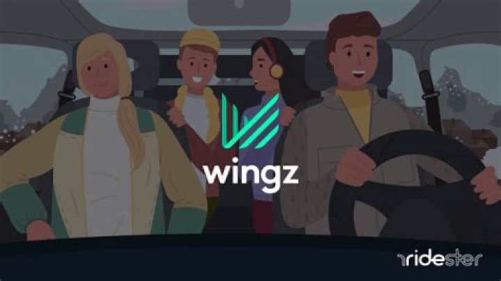 How much do Wingz drivers make?