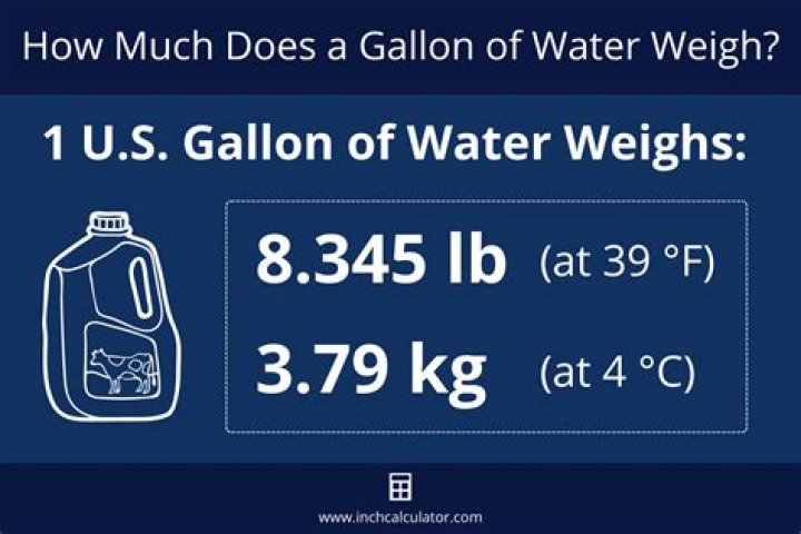 How much does a 100 gallons weigh?