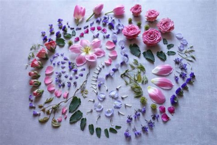 How much does a flat of flowers cover?