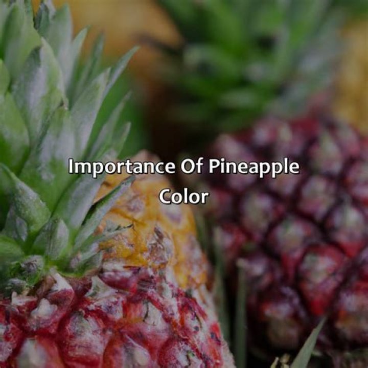 How much does a typical pineapple weigh?