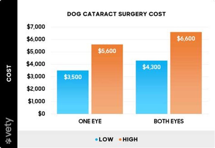 How much does eye removal surgery cost for a dog?