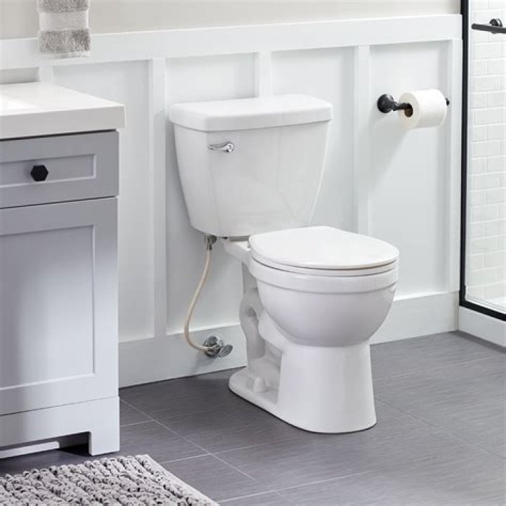 How much does Home Depot charge for toilet install?