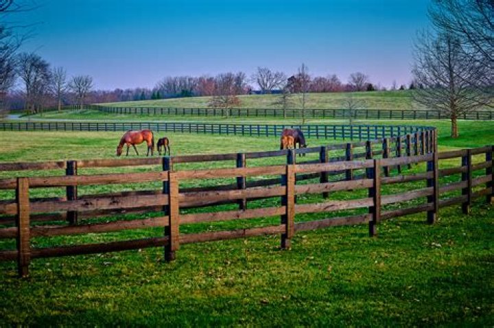 How much does horse fencing cost?