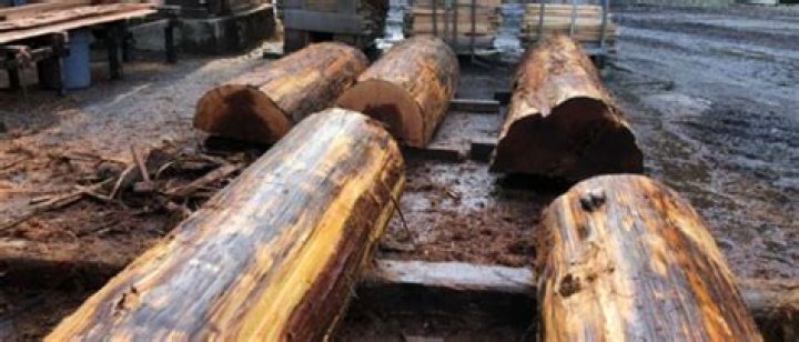 How much does it cost to kiln dry lumber?