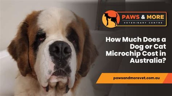 How much does it cost to paint deck?