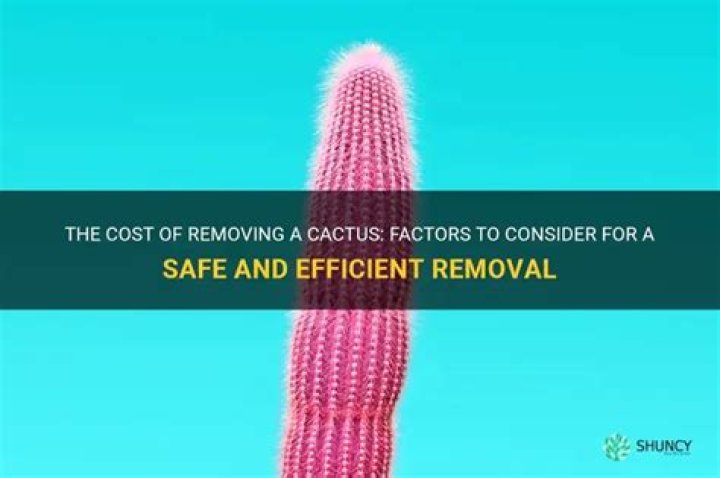 How much does it cost to remove a cactus?