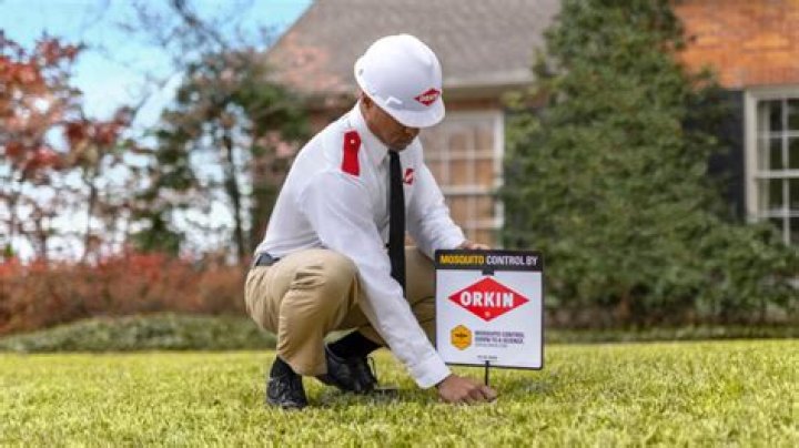 How much does Orkin charge for termite treatment?