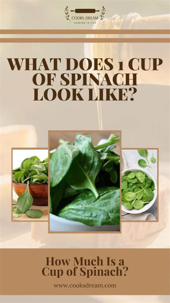 How much fiber is in a cup of spinach?