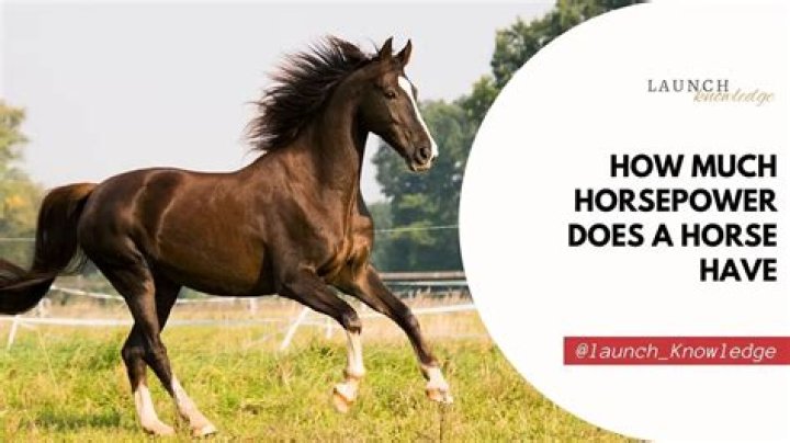 How much horsepower does a Oldsmobile 403 have?