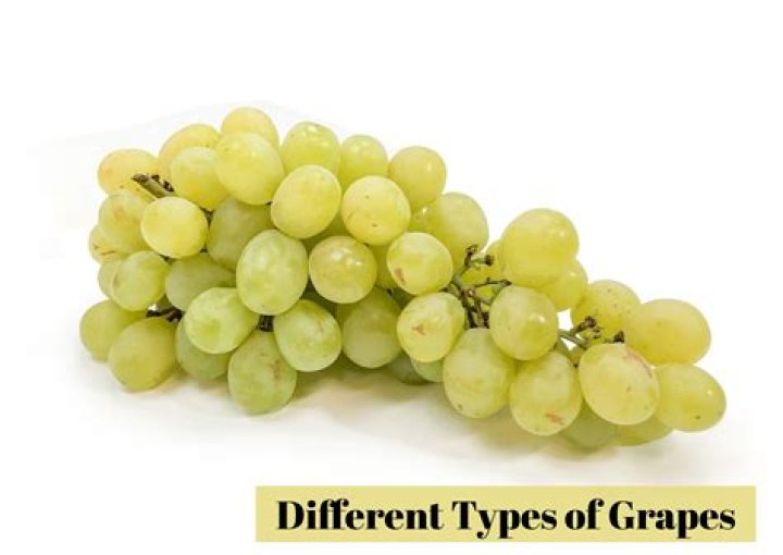 How much is a bushel of grapes?