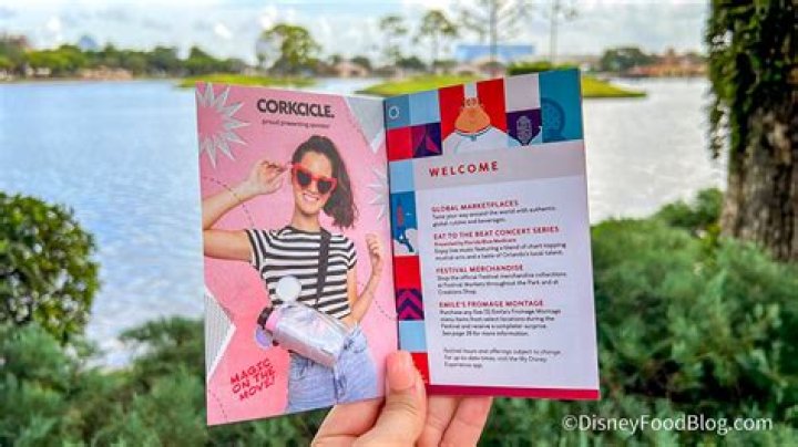 How much is a festival passport?