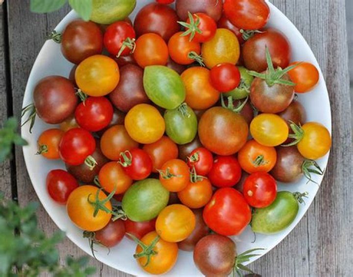 How much is a pound of cherry tomatoes?