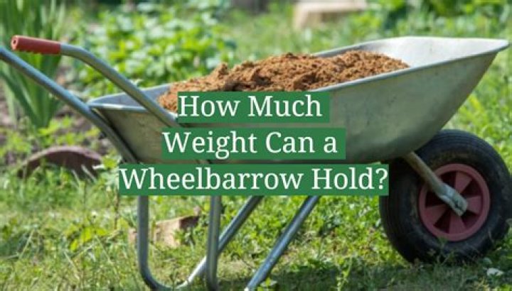 How much weight can a Rubbermaid shelf hold?