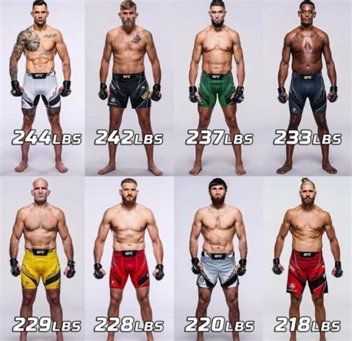How much weight do MMA fighters gain after weigh in?