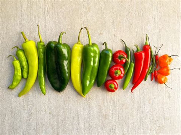How spicy is a Cubanelle pepper?