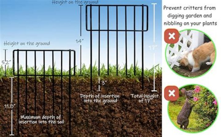 How tall does a garden fence need to be to keep rabbits out?