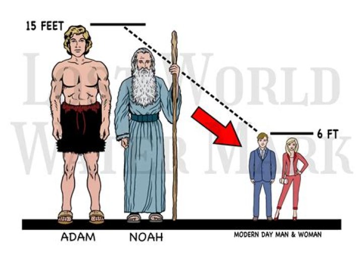How tall was Adam?
