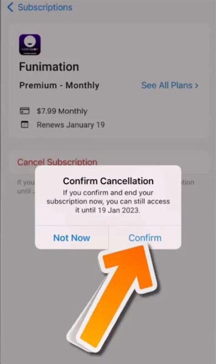 How to cancel funimation subscription