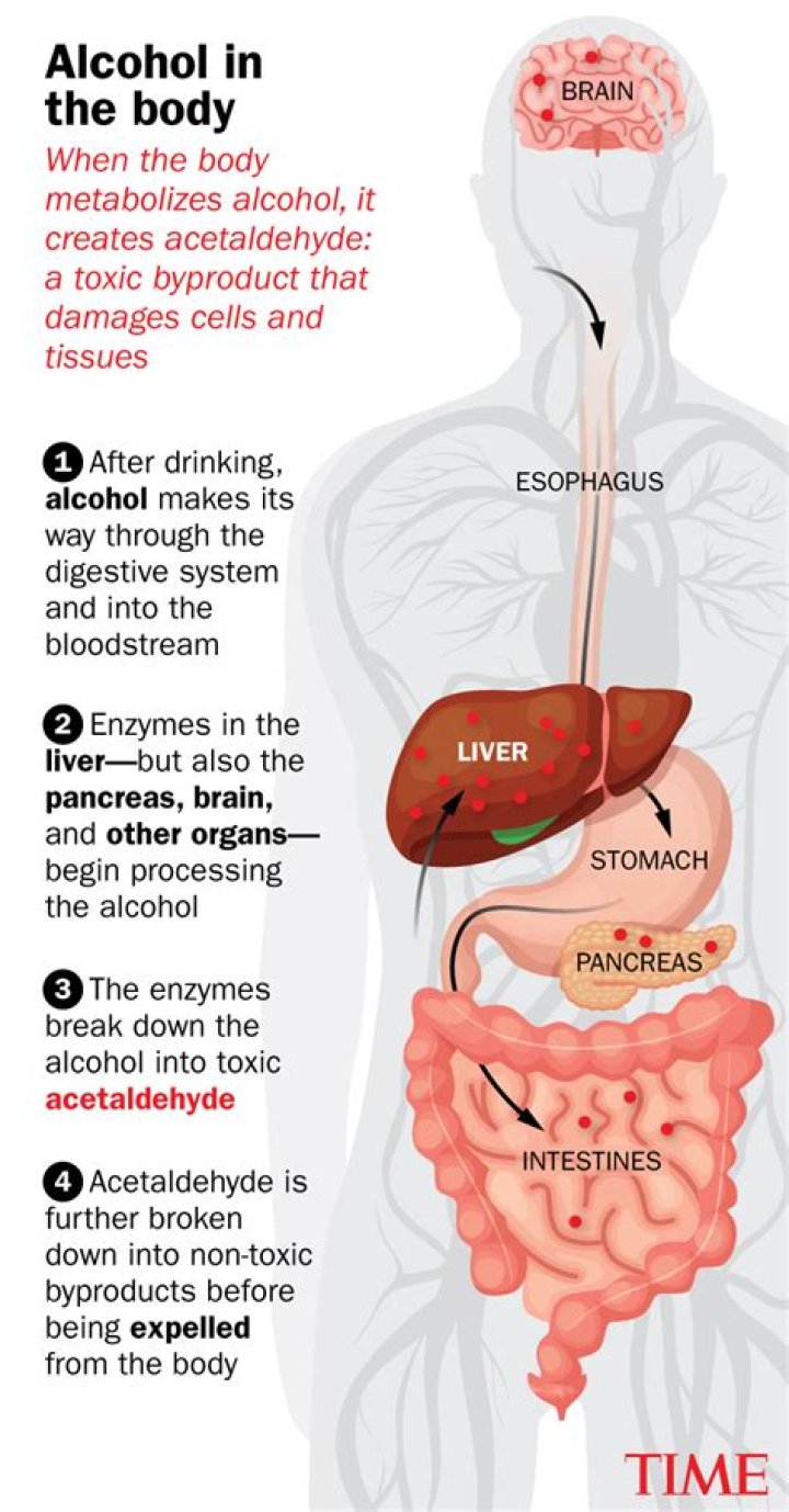 How toxic is Scotchgard?
