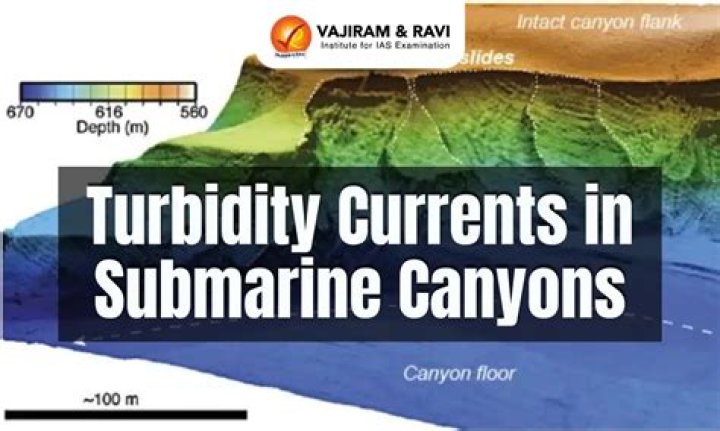 How turbidity currents are related to submarine canyons?