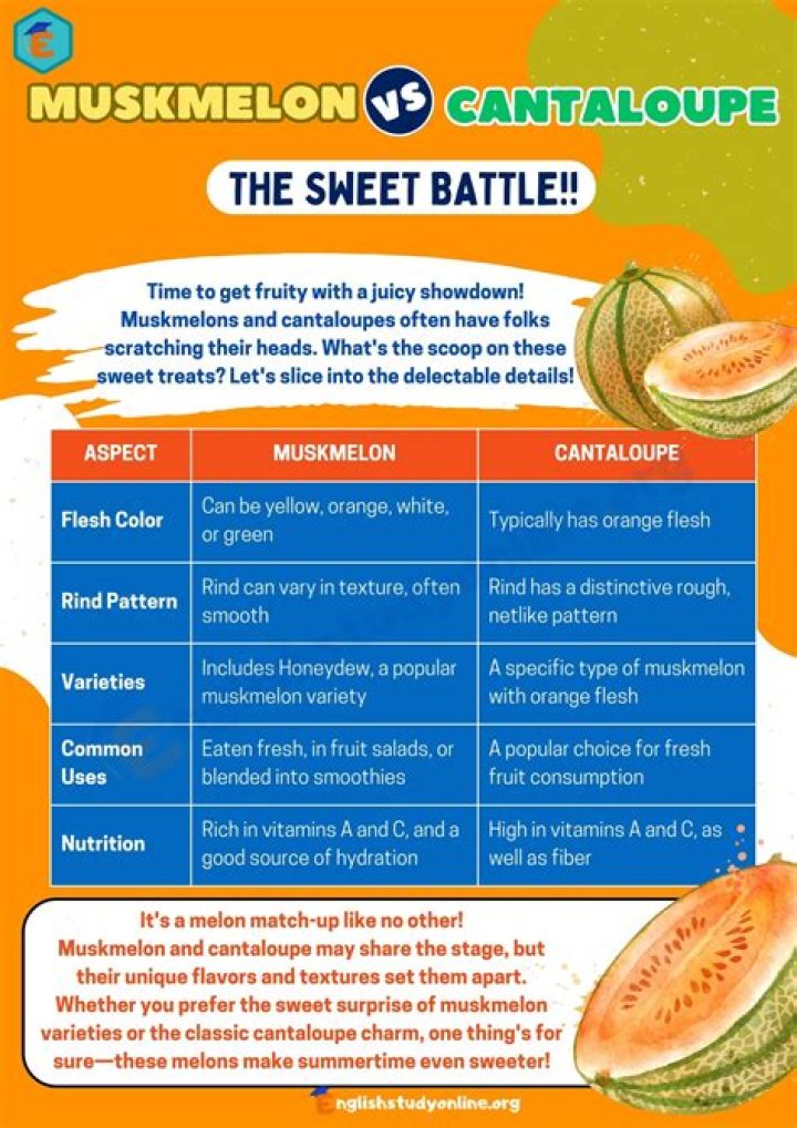 Is a cantaloupe and a muskmelon the same thing?