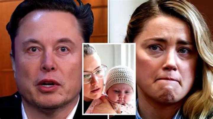 Is Amber Heard baby father Elon Musk Reddit?