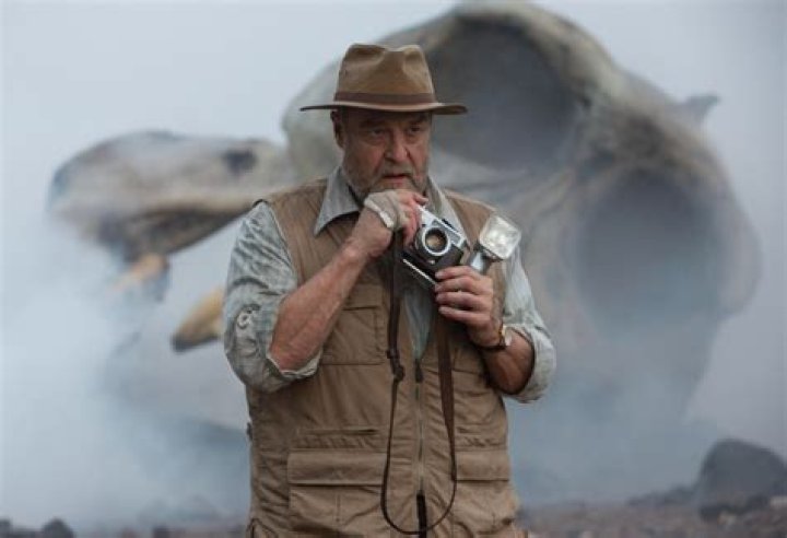 Is Anna Sawai in Godzilla Movies? How is Cate Randa Related to Bill Randa?