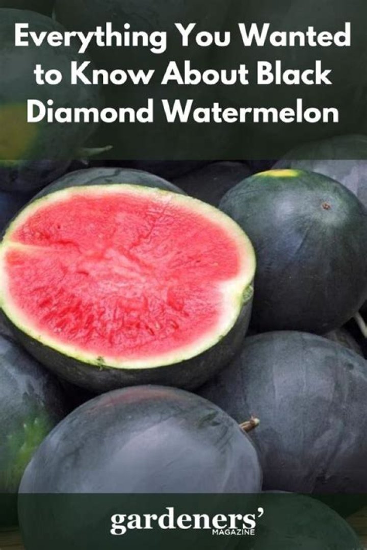 Is Black Diamond watermelon seedless?