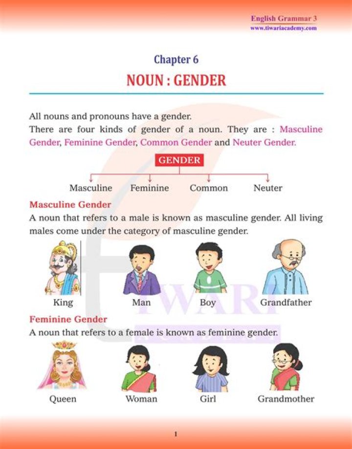 Is cafeteria masculine or feminine?