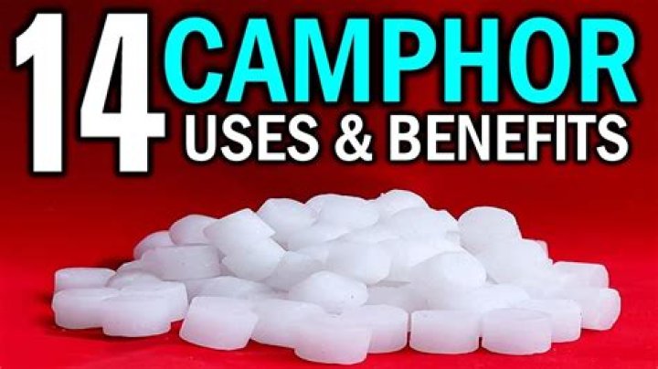 Is camphor poisonous to cats?