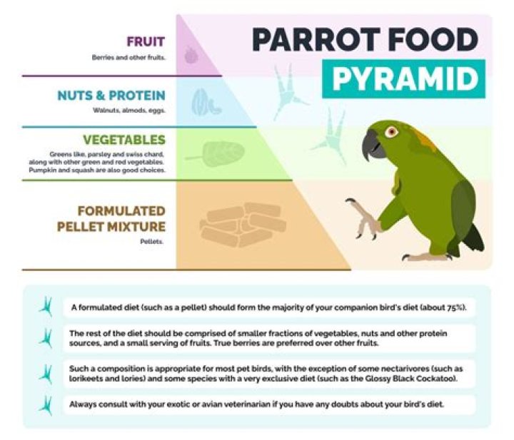 Is celery safe for parrots?