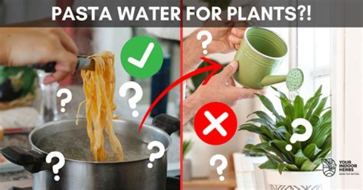 Is cold water good for plants?