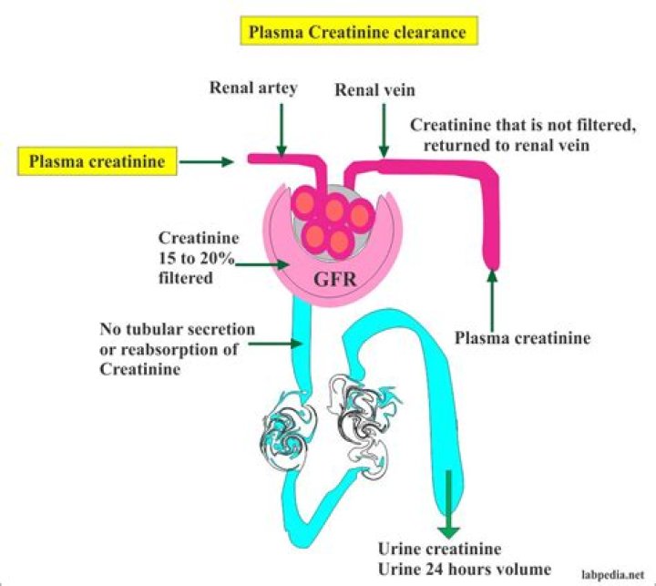 Is creatinine clearance the same as GFR?