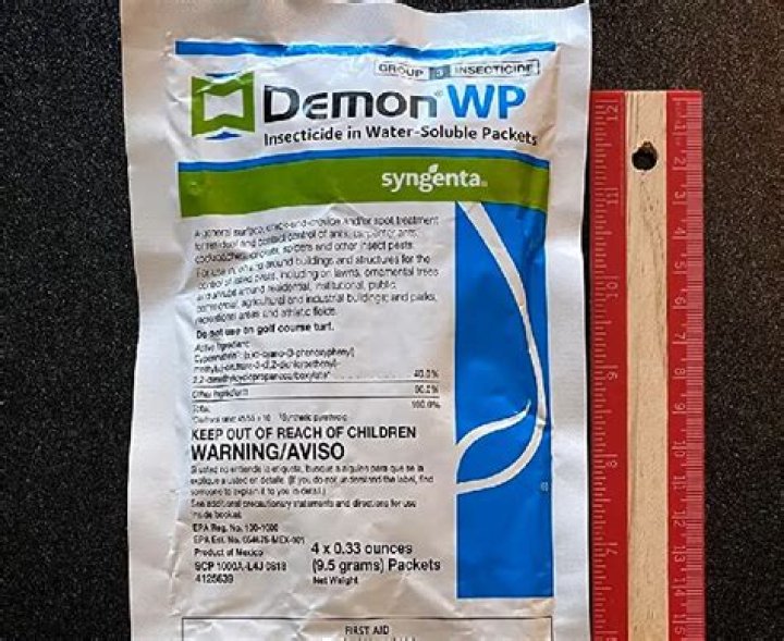Is Demon WP safe?