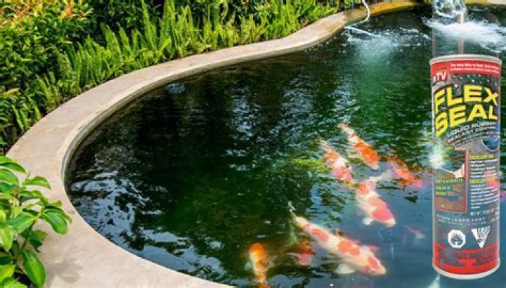 Is Flex Seal safe for fish ponds?